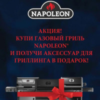 Новогодняя АКЦИЯ от NAPOLEON Новогодняя АКЦИЯ от NAPOLEON
