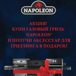 Новогодняя АКЦИЯ от NAPOLEON 