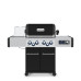 Гриль газовый Broil King REGAL Q 490 IR